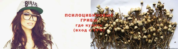 гашик Баксан